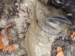 56510175412824027436876717951226494148331721n